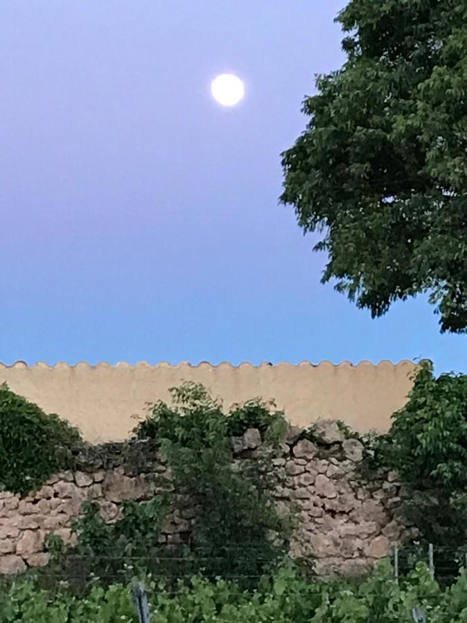 Domaine Du Clos D'Alari-Chambres D'Hotes Au Milieu Des Vignes Saint-Antonin-du-Var Eksteriør billede
