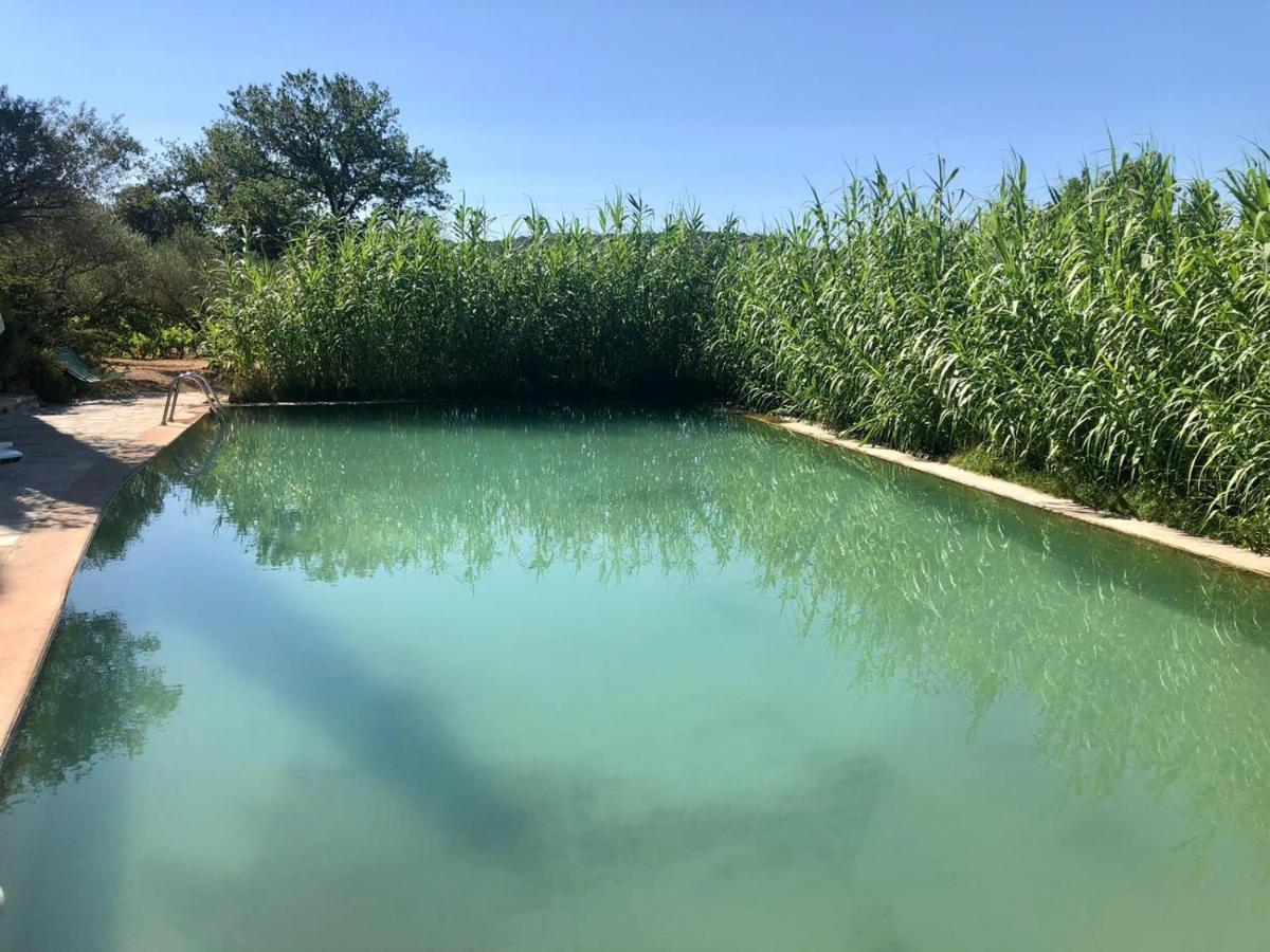 Domaine Du Clos D'Alari-Chambres D'Hotes Au Milieu Des Vignes Saint-Antonin-du-Var Eksteriør billede