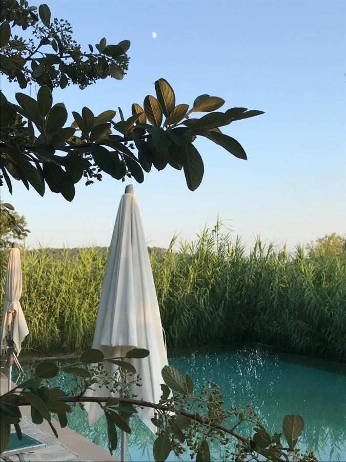 Domaine Du Clos D'Alari-Chambres D'Hotes Au Milieu Des Vignes Saint-Antonin-du-Var Eksteriør billede