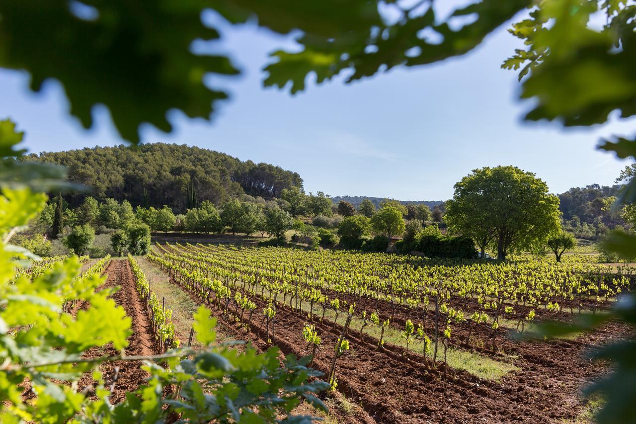 Domaine Du Clos D'Alari-Chambres D'Hotes Au Milieu Des Vignes Saint-Antonin-du-Var Eksteriør billede